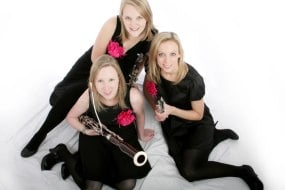 The Marylebone Trio Classical Musician Hire Profile 1