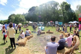 Festival For...