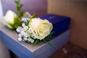 Floral Designs by Dawn Rose