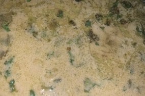 Biryani Rulz