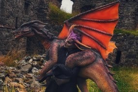 Northern Frights