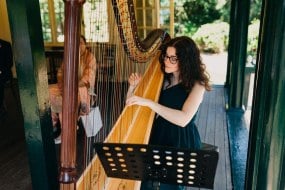Wedding and events harpist