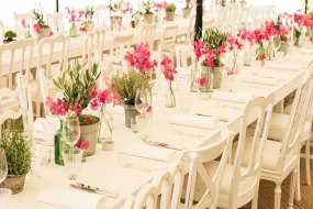 IVB Direct Event Seating Hire Profile 1