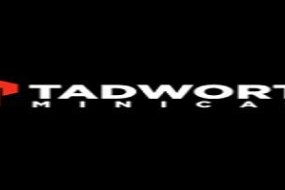 Tadworth Minicabs Cars
