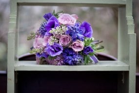Violets and Velvet Florists Profile 1
