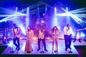 The Vibrations Wedding Band Hire Profile 1