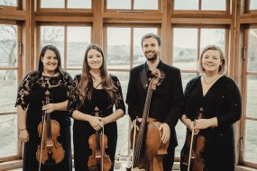 Vyne String Quartet