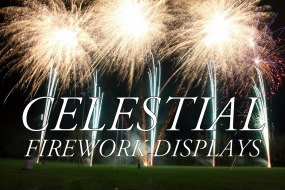 Celestial Firework Displays undefined Profile 1