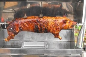 This Little Piggy Went undefined Profile 1