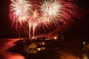 Raven Fireworks undefined Profile 1