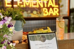 The Elemental Mule undefined Profile 1