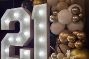 Celebrate with Light undefined Profile 1