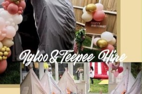 MR Igloo Hire undefined Profile 1