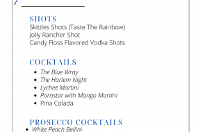 Harlem Nights Ltd Mobile Bar Hire Profile 1