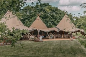 Raw Tipis Limited undefined Profile 1