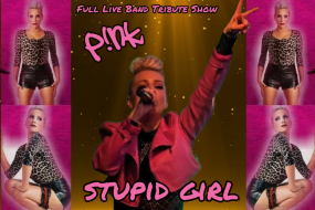Stupid Girl Pink tribute Tribute Acts Profile 1