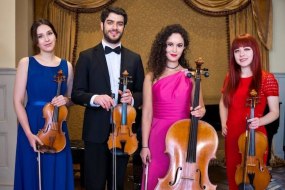 London Strings undefined Profile 1