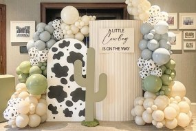 Pretty Occasional Balloon Decoration Hire Profile 1