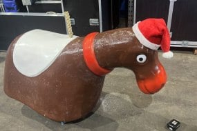 Bucking Hull Rodeo Bull Hire Rodeo Reindeer
Hire Profile 1