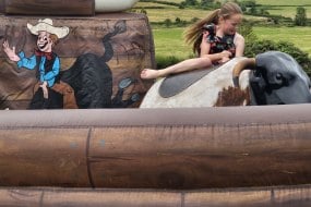 Rodeo Bull Queens Rodeo Bull Hire Profile 1