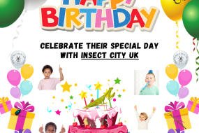 Insect City UK Animal Parties Profile 1