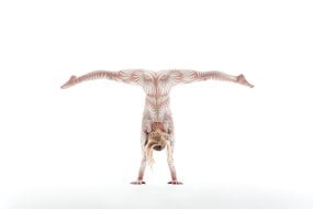 AM Entertainment Acrobats for Hire Profile 1