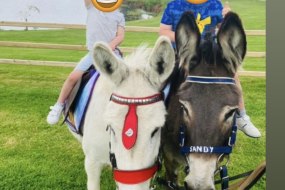 Emma’s donkeys Llanidloes Party
Entertainers Profile 1