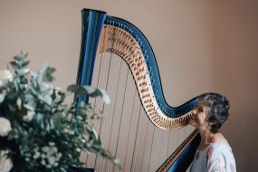 Meredith McCracken - Harpist undefined Profile 1