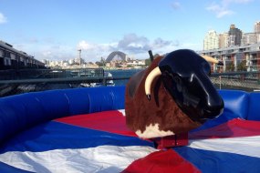 King Of The Castles Bouncy Hire undefined Profile 1