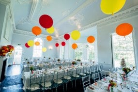 Go2Balloons undefined Profile 1