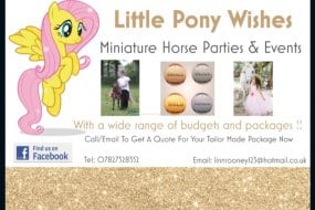 Little Pony Wishes Pony Parties Profile 1