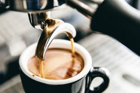 Rapido Coffee Services undefined Profile 1