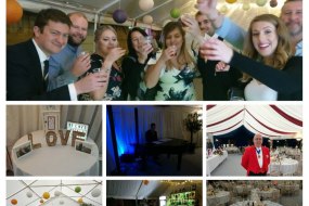 Wedding Fun