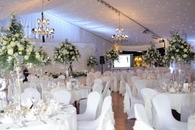 High Doh Entertainments Wedding Accessory Hire Profile 1