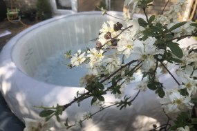 Fenland Hot Tub & Spa Hire undefined Profile 1