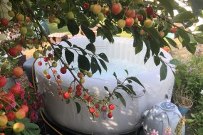 Hampshire Hot Tub & Spa Hire undefined Profile 1