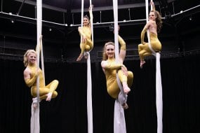 Venus Aerial Party
Entertainers Profile 1