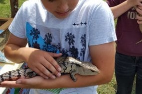 Wriggly Roadshow