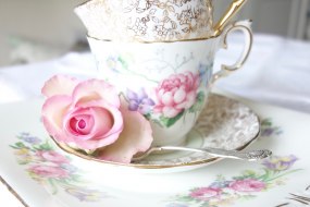 Tea Cup Tales undefined Profile 1