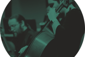 Rawle and Shipley Musician
Hire Profile 1