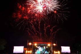 Nightlife Fireworks undefined Profile 1