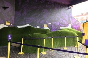 Groupo-grass Marquee Flooring Profile 1