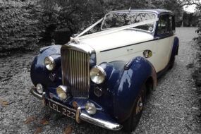 Charismatic Cars Transport Hire Profile 1