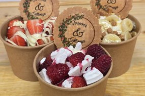 Bear Cheesecake Dessert Caterers Profile 1