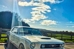 Mustang Maddie Wedding
Car Hire Profile 1