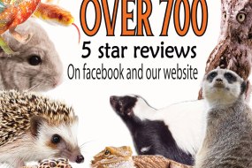 Animal Magic Parties