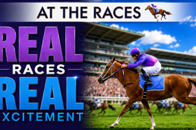 Presenter Led Events Race Night Hire Profile 1