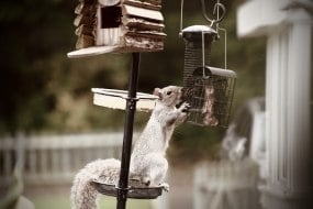 Adam Photography Event Video and Photography Profile 1