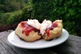 Here Today, Scone Tomorrow undefined Profile 1