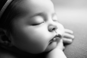 Dinky Little Dot Photography Hire a Portrait Photographer Profile 1
